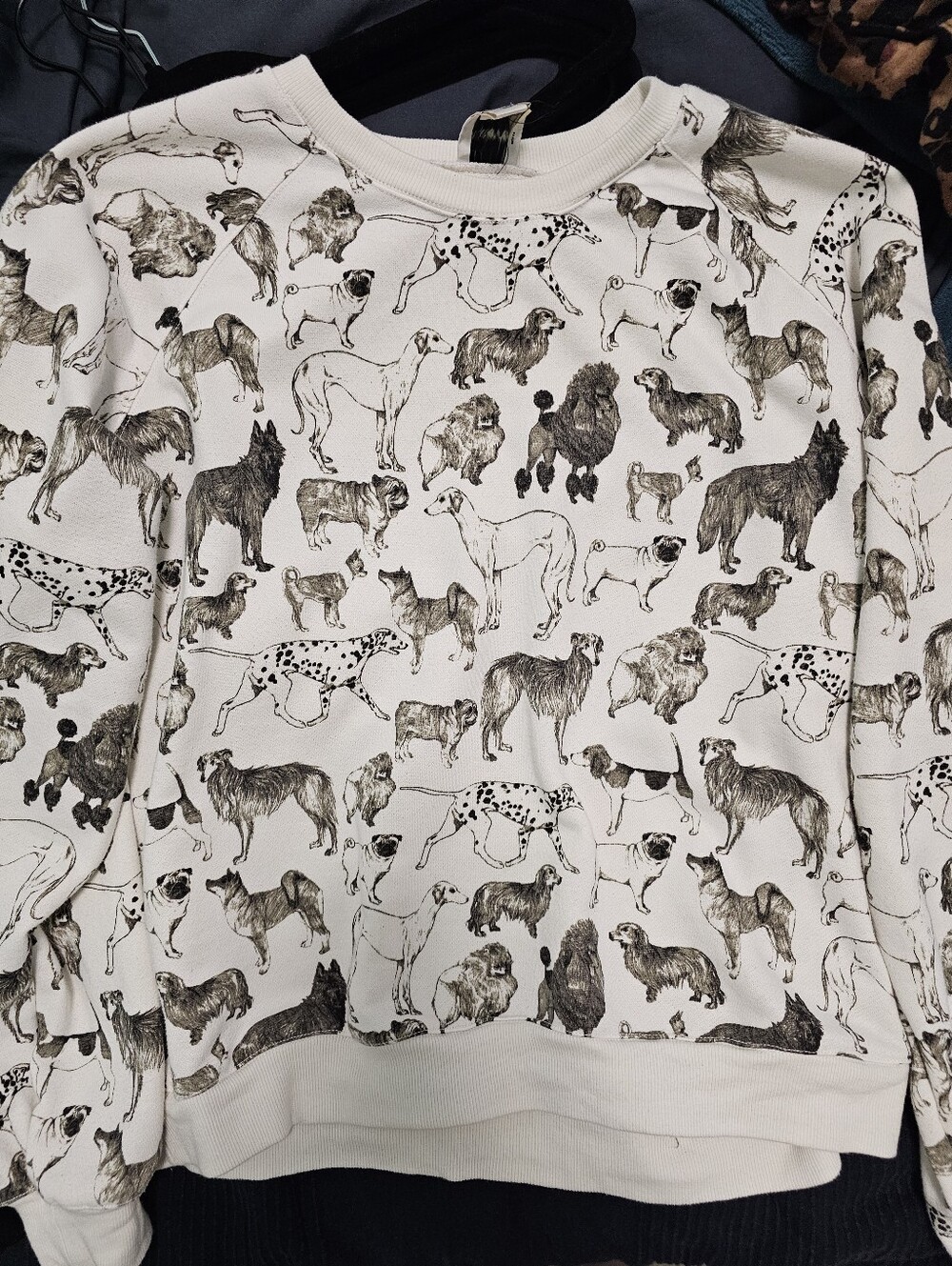 Maeve Dog Print Sweatshirt